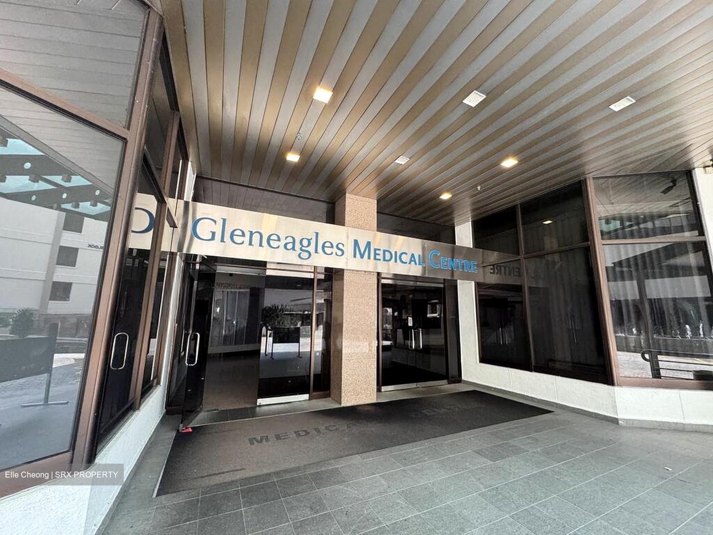 Gleneagles Hospital (D10), Retail #517598241